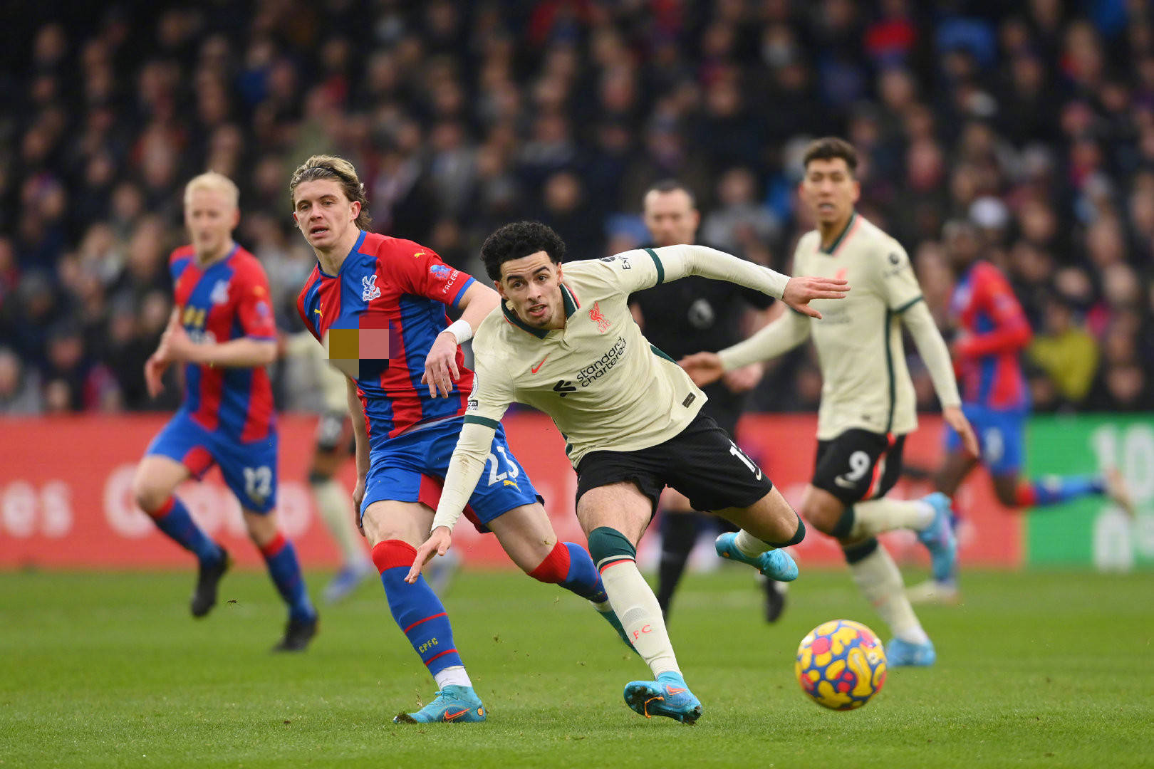 布里格斯的 布里格斯的